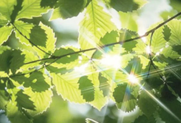 台北禮儀服務公司