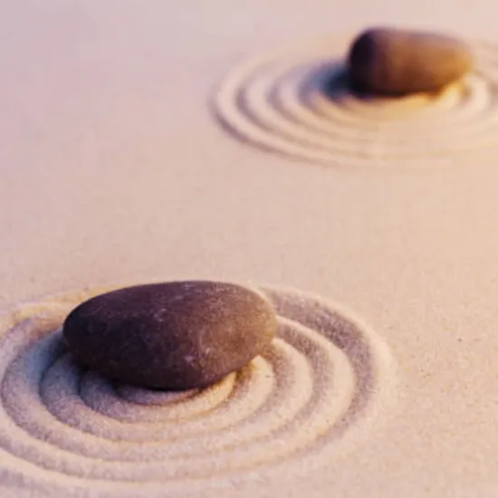 殯葬禮儀服務的環保實踐：上品蓮的孝道創新