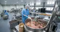 寵物關節保健肉乾推薦：犬用低磷鮮食與零食批發指南