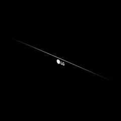 LG濾網價格中等，官方支援型號較多