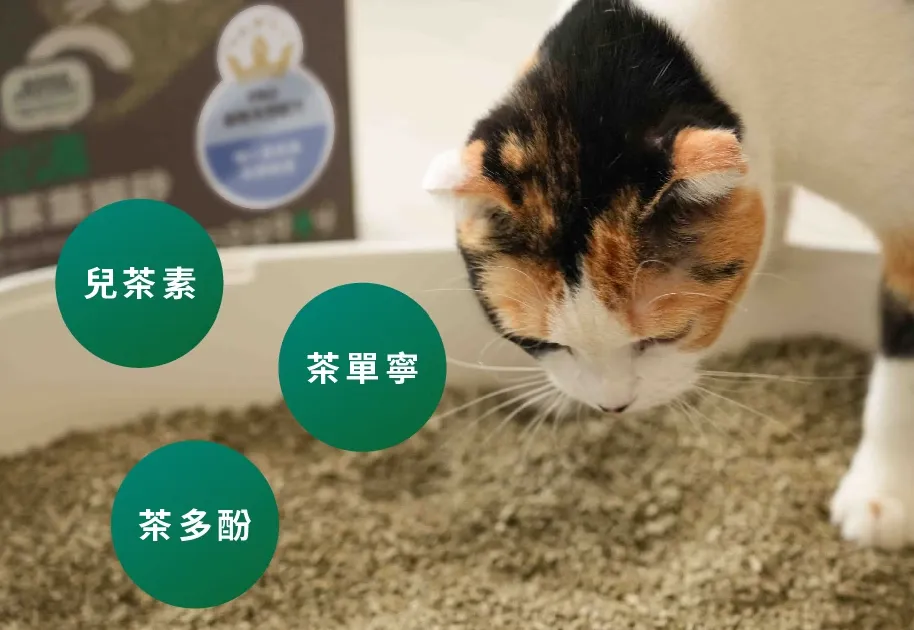 低粉塵貓砂