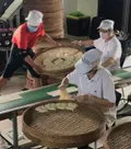 台北手折關廟麵與禮盒推薦