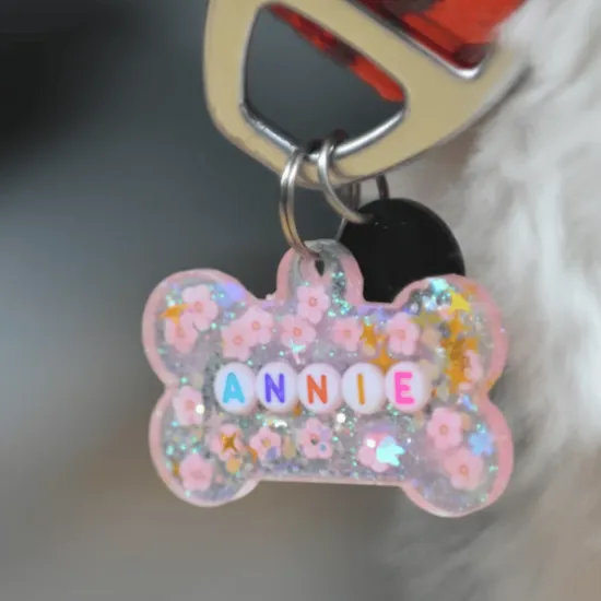 打造質感人寵空間：台中貓用品與居家寵物配件的挑選