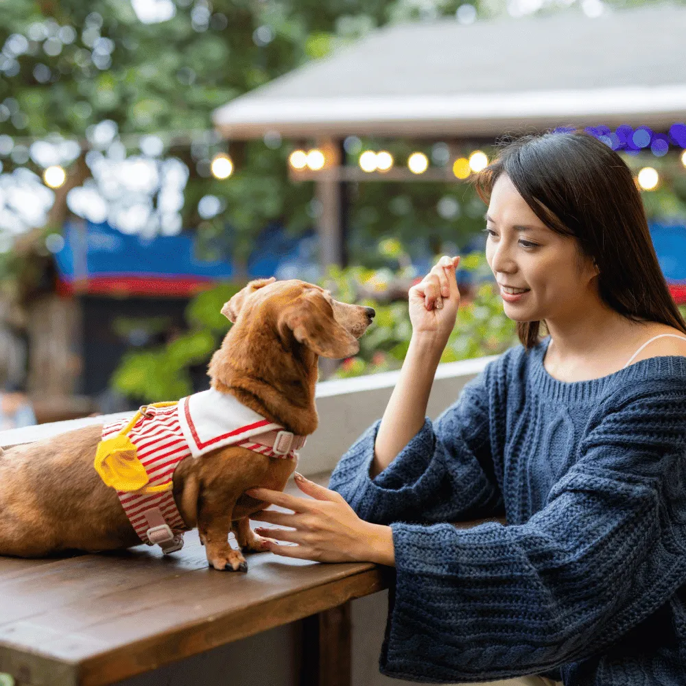台北寵物友善餐廳