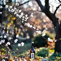 日本梅酒推薦｜來自長崎的明信片