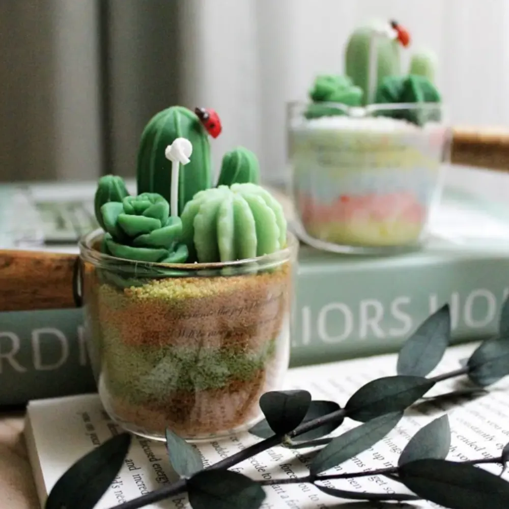 多肉盆栽新手篇