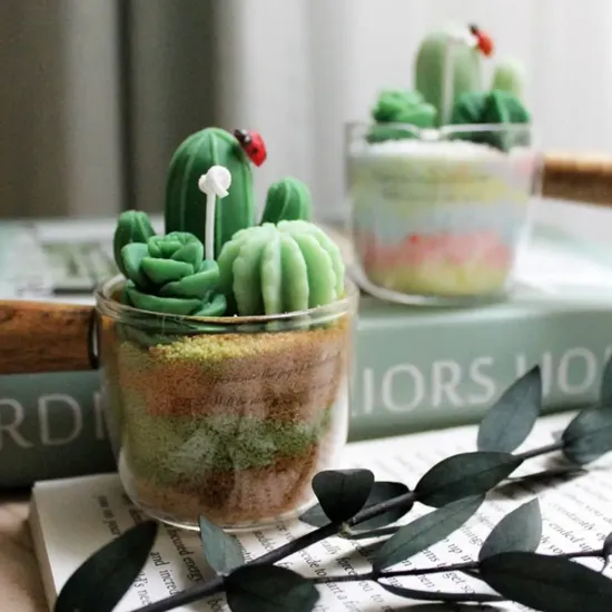 多肉盆栽新手別急著買：先做一盆「會活的」再談風格