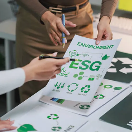 碳足跡認證與企業責任：共享雨傘如何打造環保品牌形象