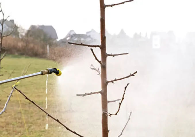 灑水車公司推薦