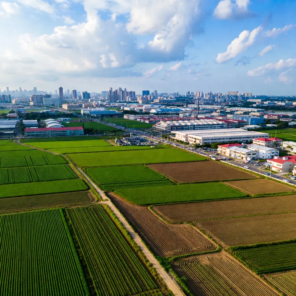 旭昇國際開發有限公司專業解析