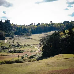 露營地規劃、申請