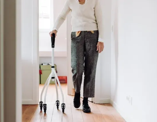 高品質進口保健食品