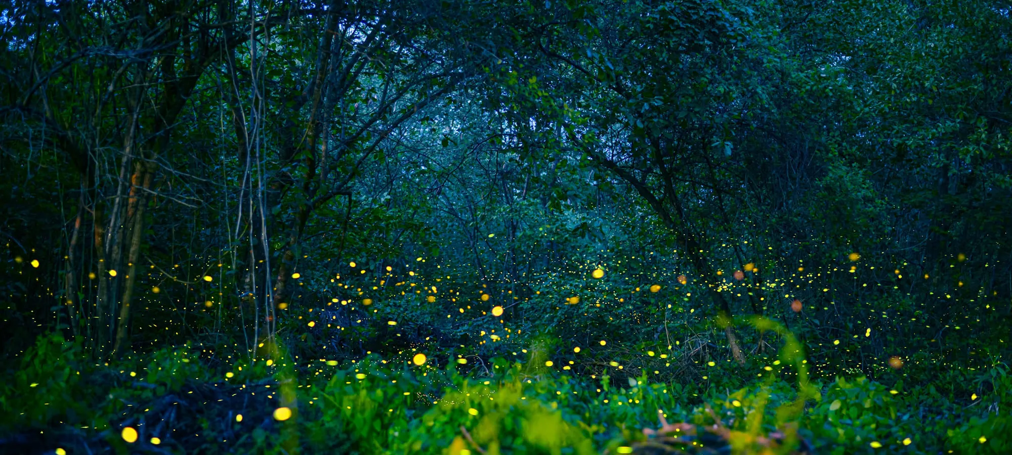 2-2花草風味琴酒