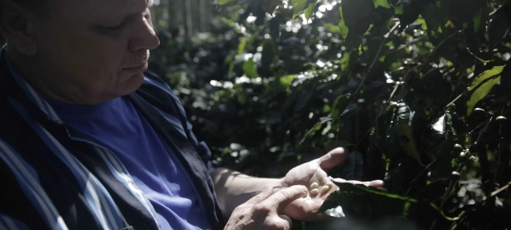 2-3台灣特色農莊酒廠