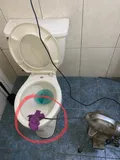 中和通馬桶|馬桶堵塞處理|包通達人