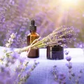 告別數羊的夜晚：找回高品質睡眠的天然植萃解方