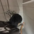 解決反覆漏水問題
