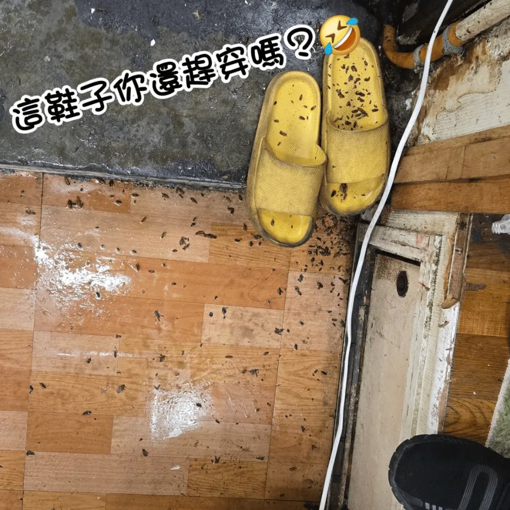 白蟻防治