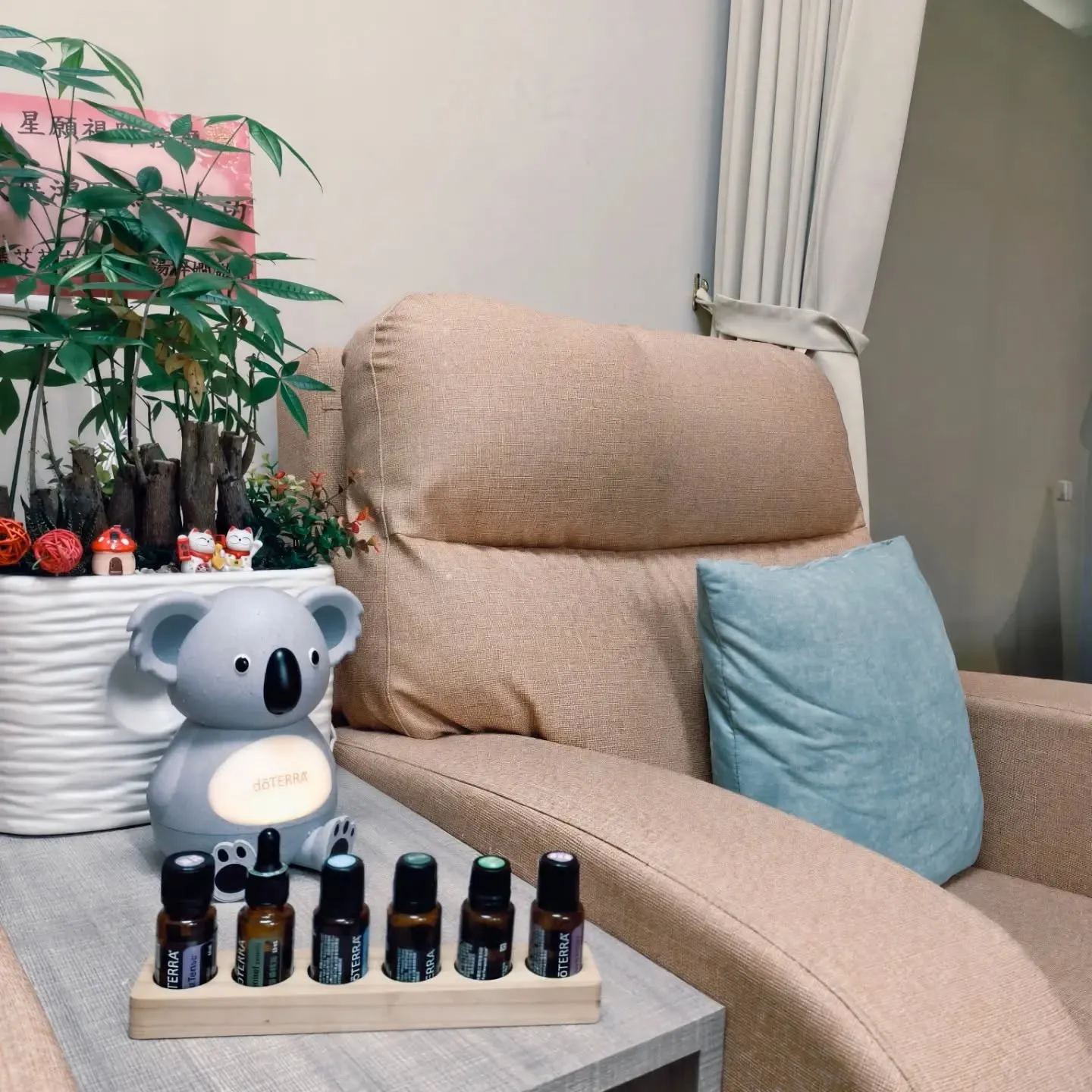 蘆洲在地人舒壓秘境：從腳底到全身的深度放鬆