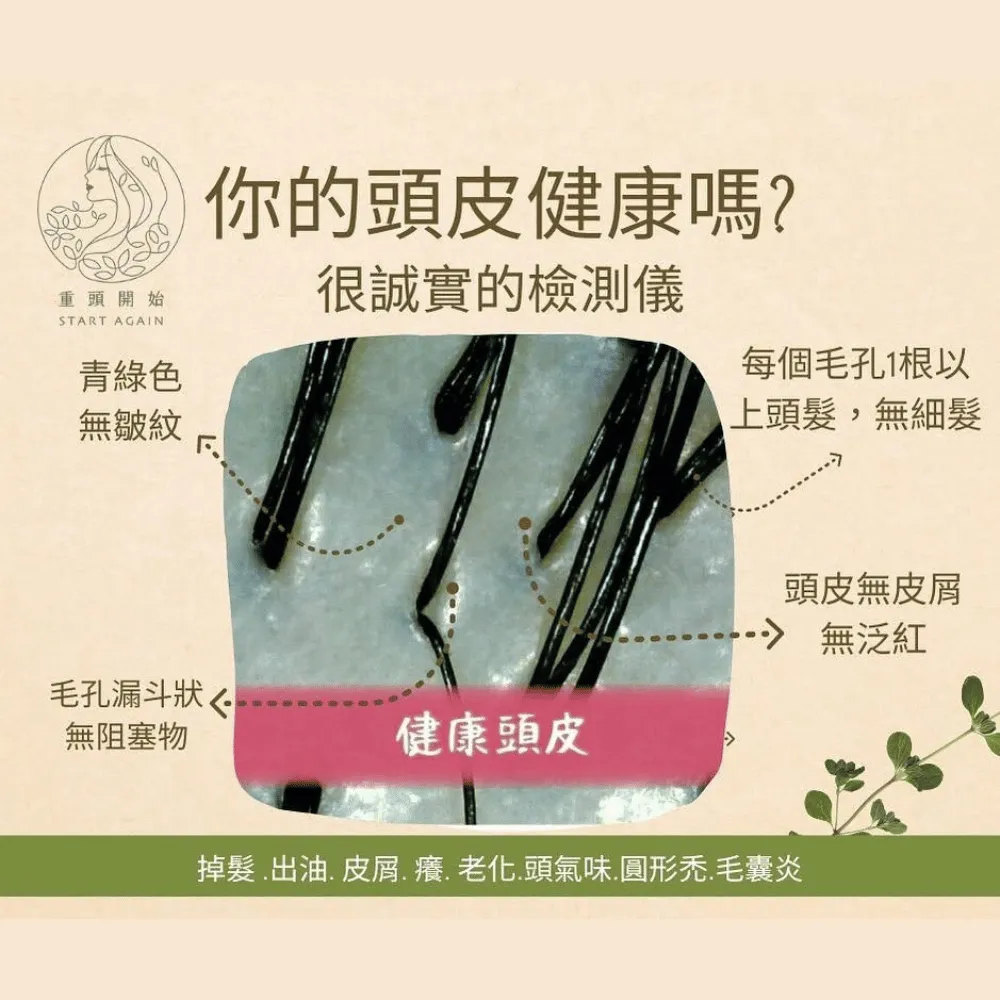 透過頭皮檢測找出根本問題