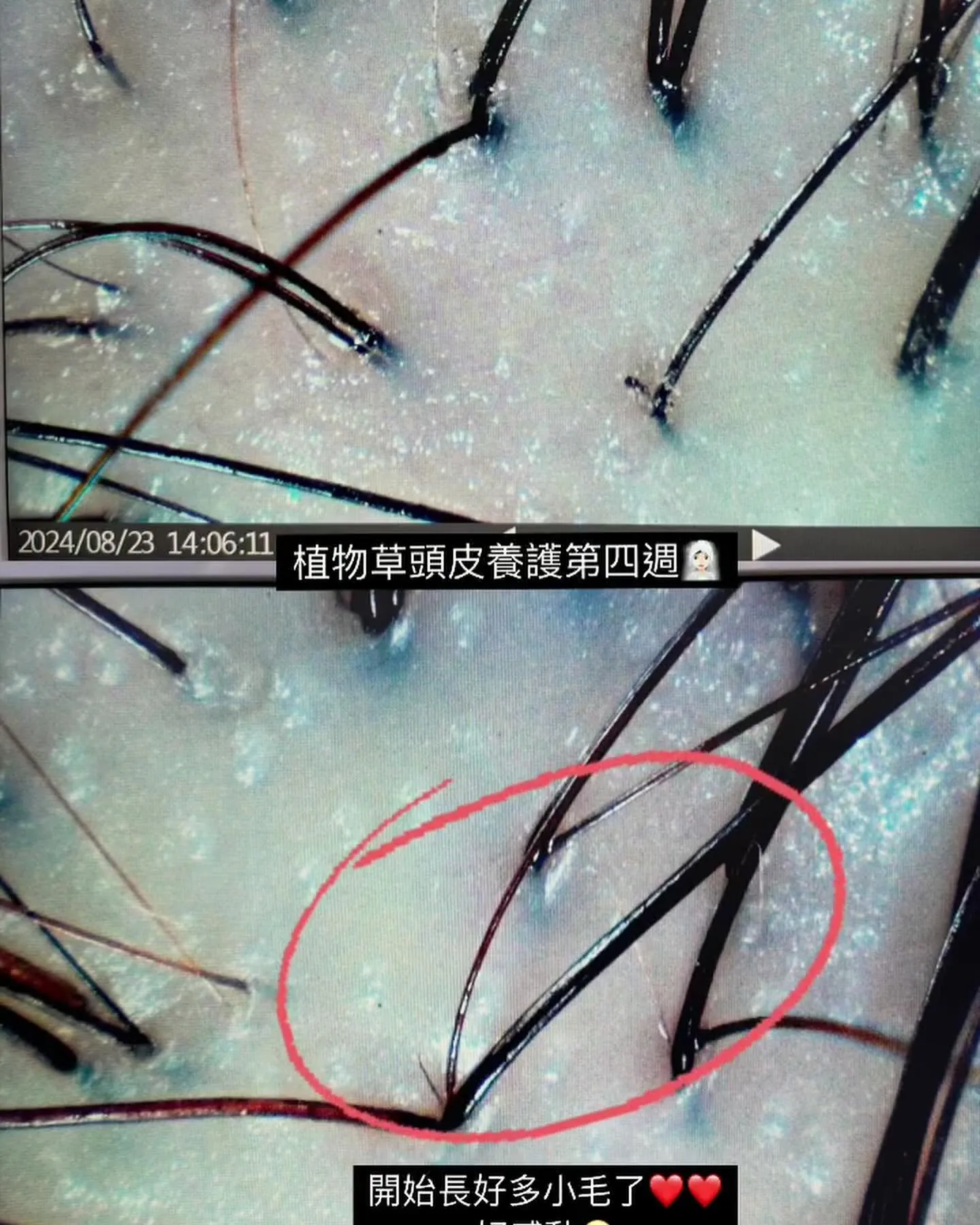 三重高CP值髮廊