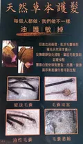 脂漏性頭皮的溫和保養指南與日常對策