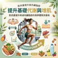 提升基礎代謝