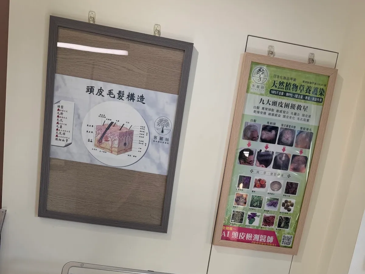 頭皮護理spa