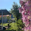 庭園咖啡搭下午茶簡餐，嘉義梅山休閒好去處推薦