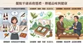 台灣頂級茶禮盒