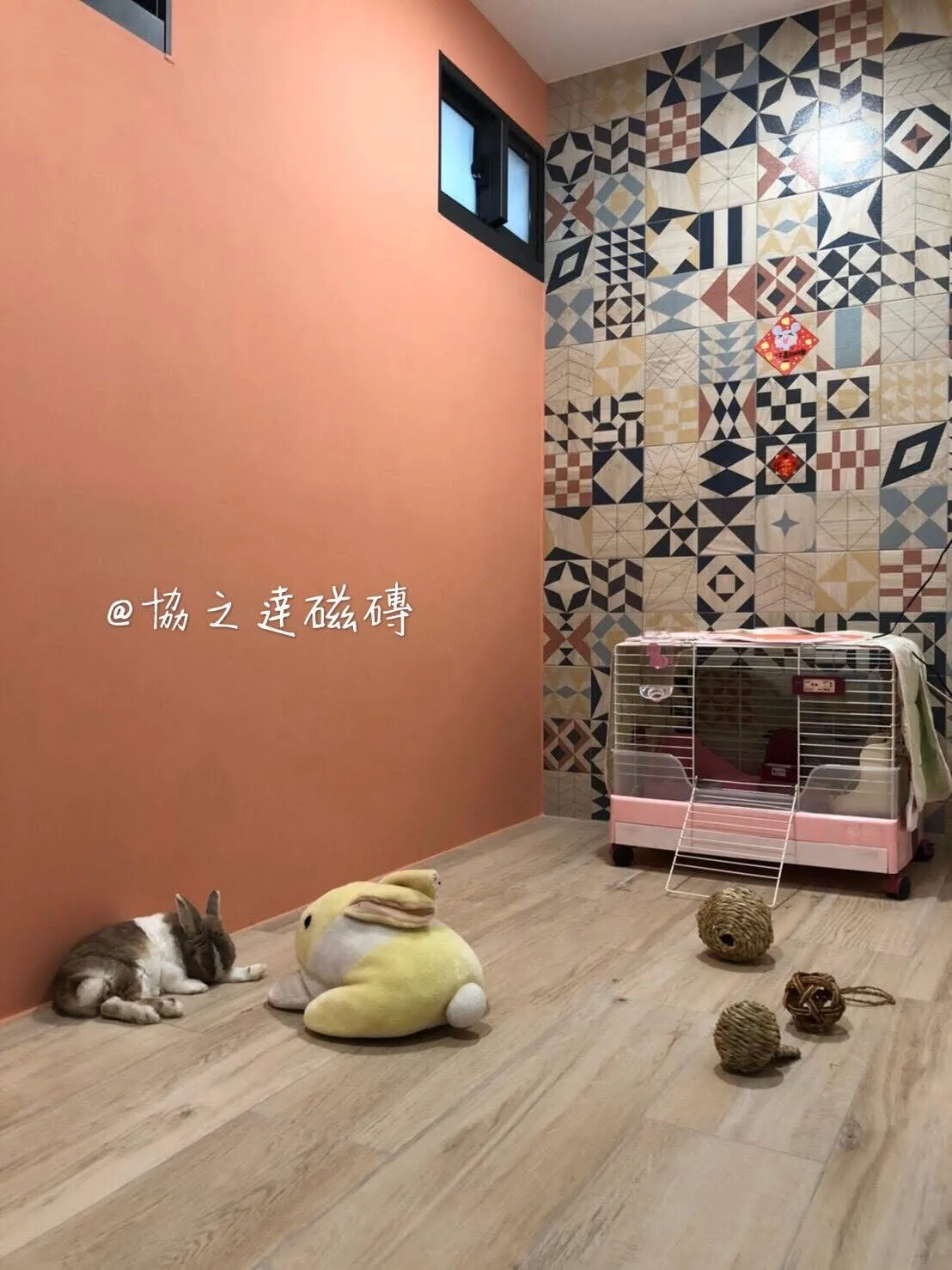 寵物友善木地板