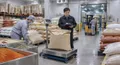 專業食品原料批發：黑胡椒粉與調味應用