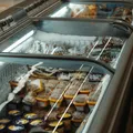 如何判斷塑膠容器抗凍性能？解析高品質冷凍包裝與材質