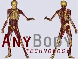 ANYBODY 生物力學分析軟體
