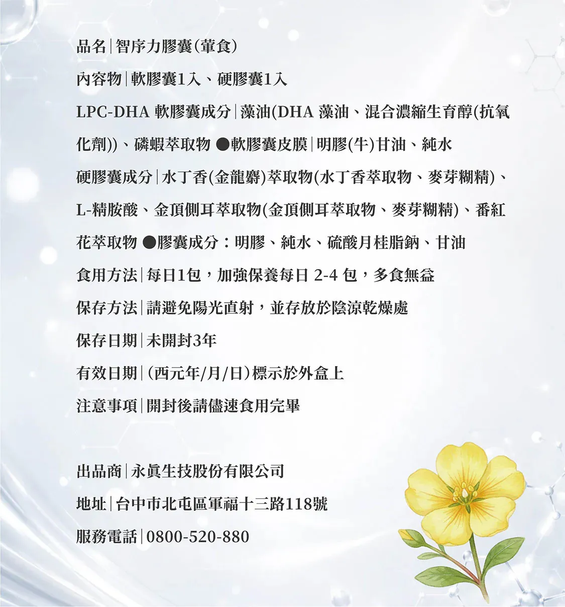 智序力10