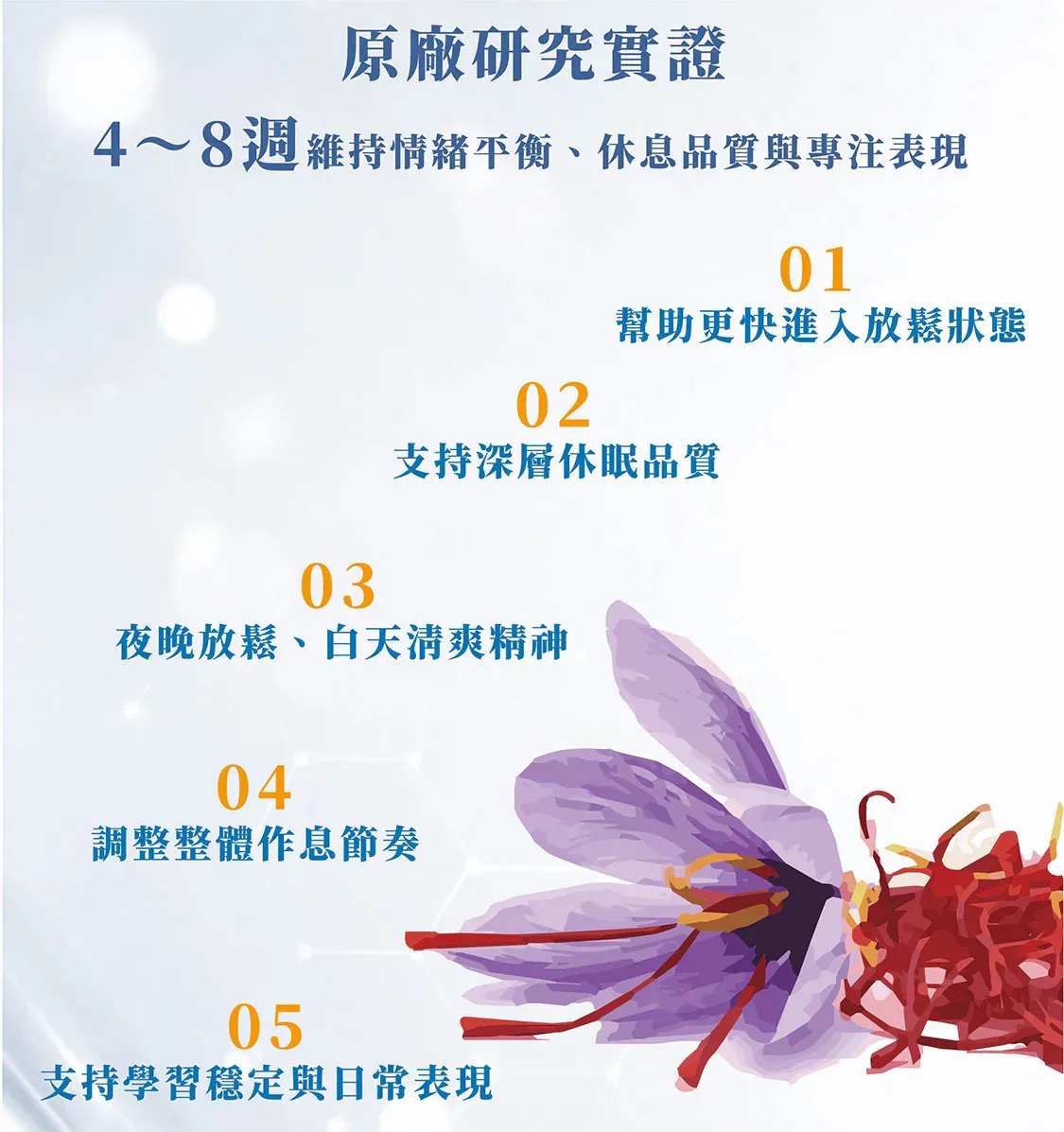 智序力8