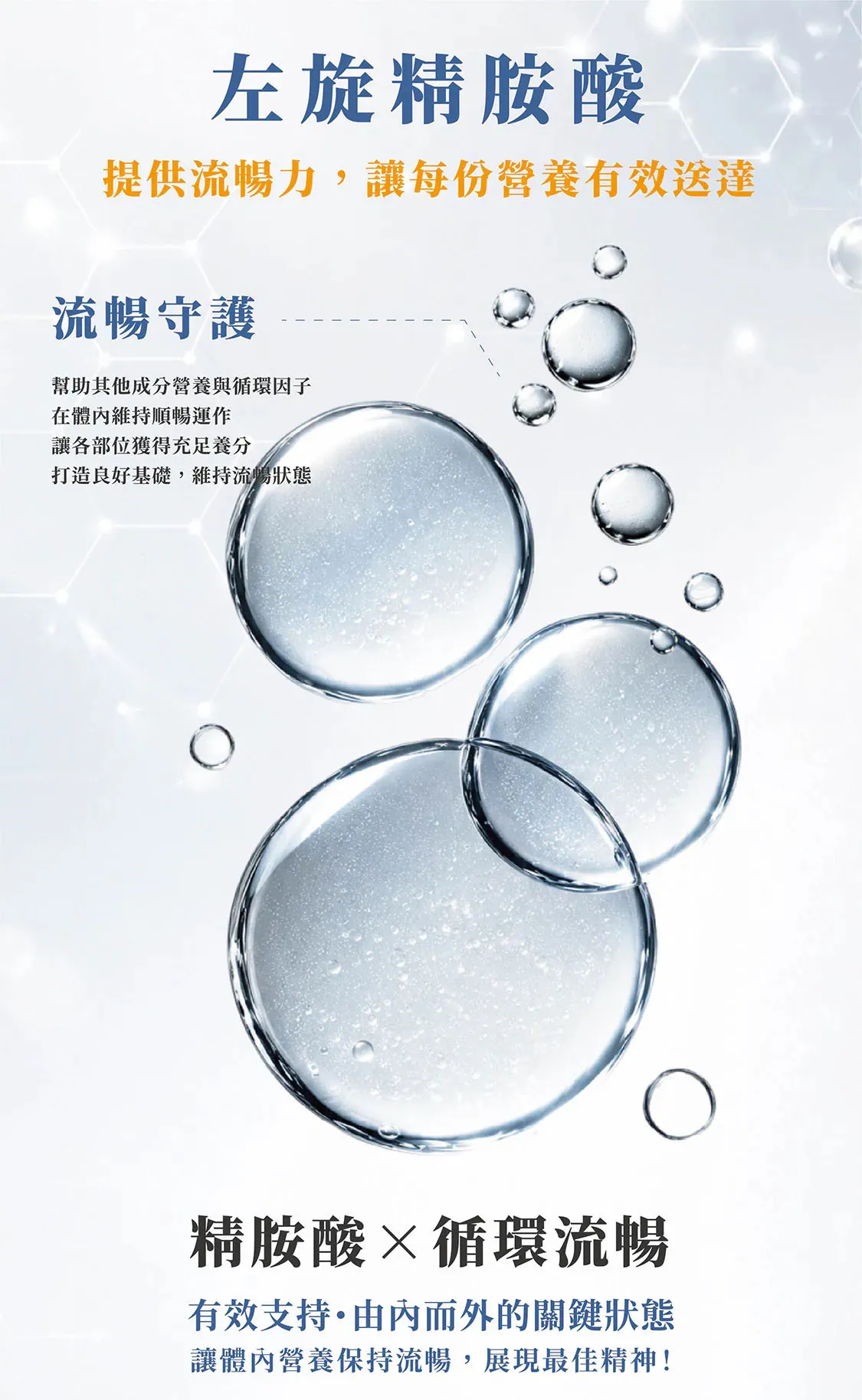 智序力9