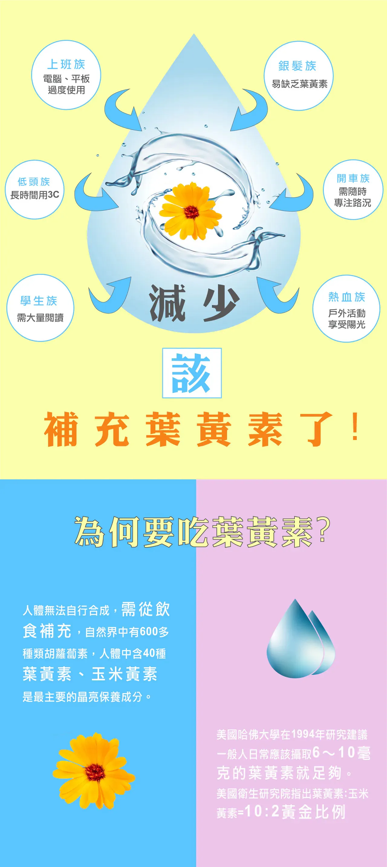 水潤葉黃素
