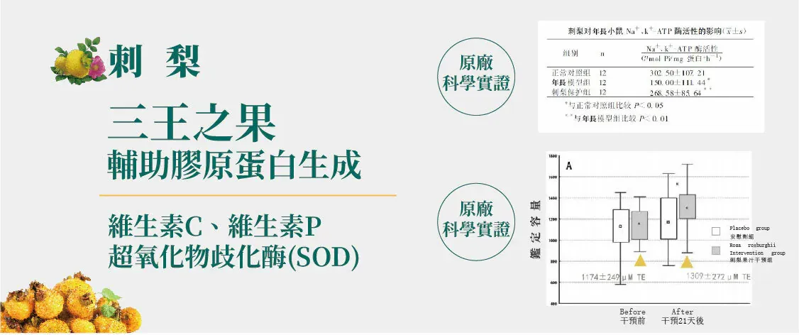 肽棒-技術配方