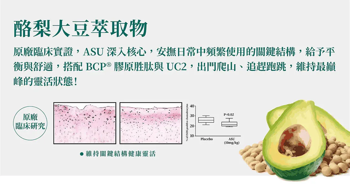 肽棒-技術配方