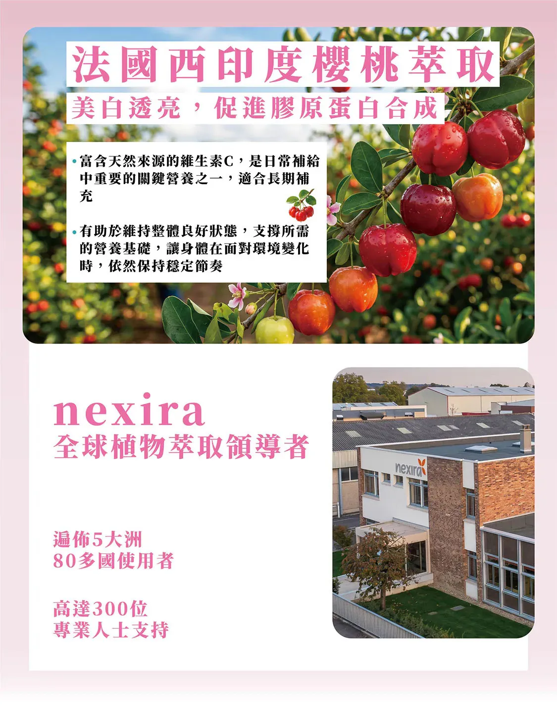 肌潤安