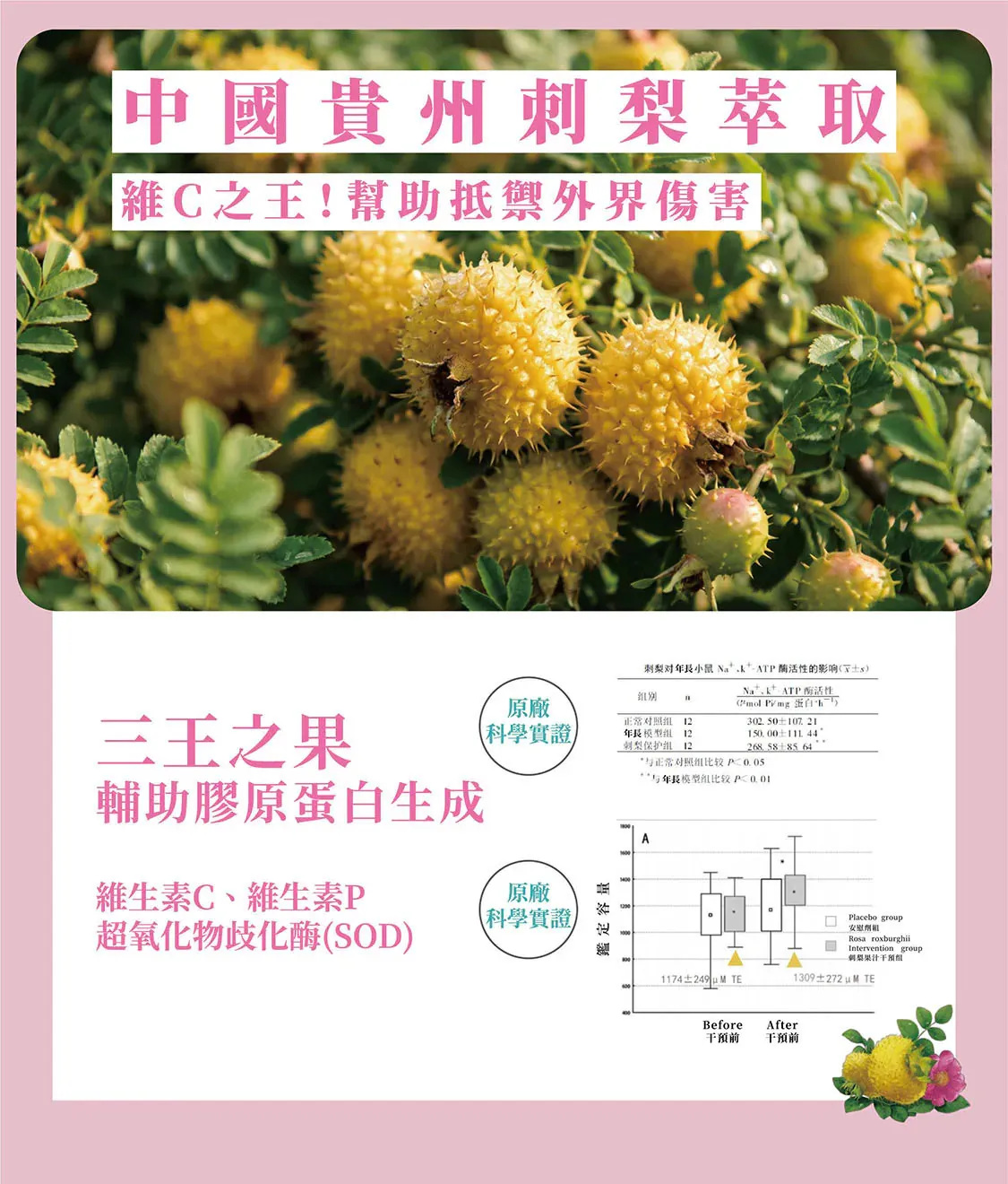 肌潤安