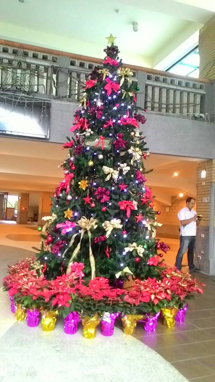 450cm聖誕樹