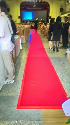 寬90CM紅地毯