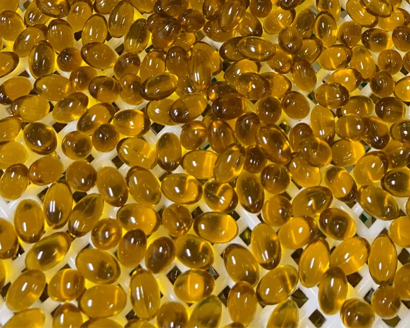 黑種草籽油軟膠囊