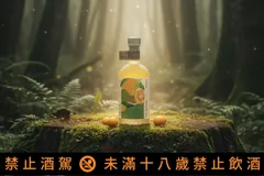 藏酒酒莊 曦光金棗酒 新春禮盒推薦