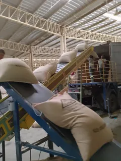 裝載作業 Loading process