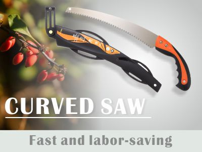 CURVED SAW