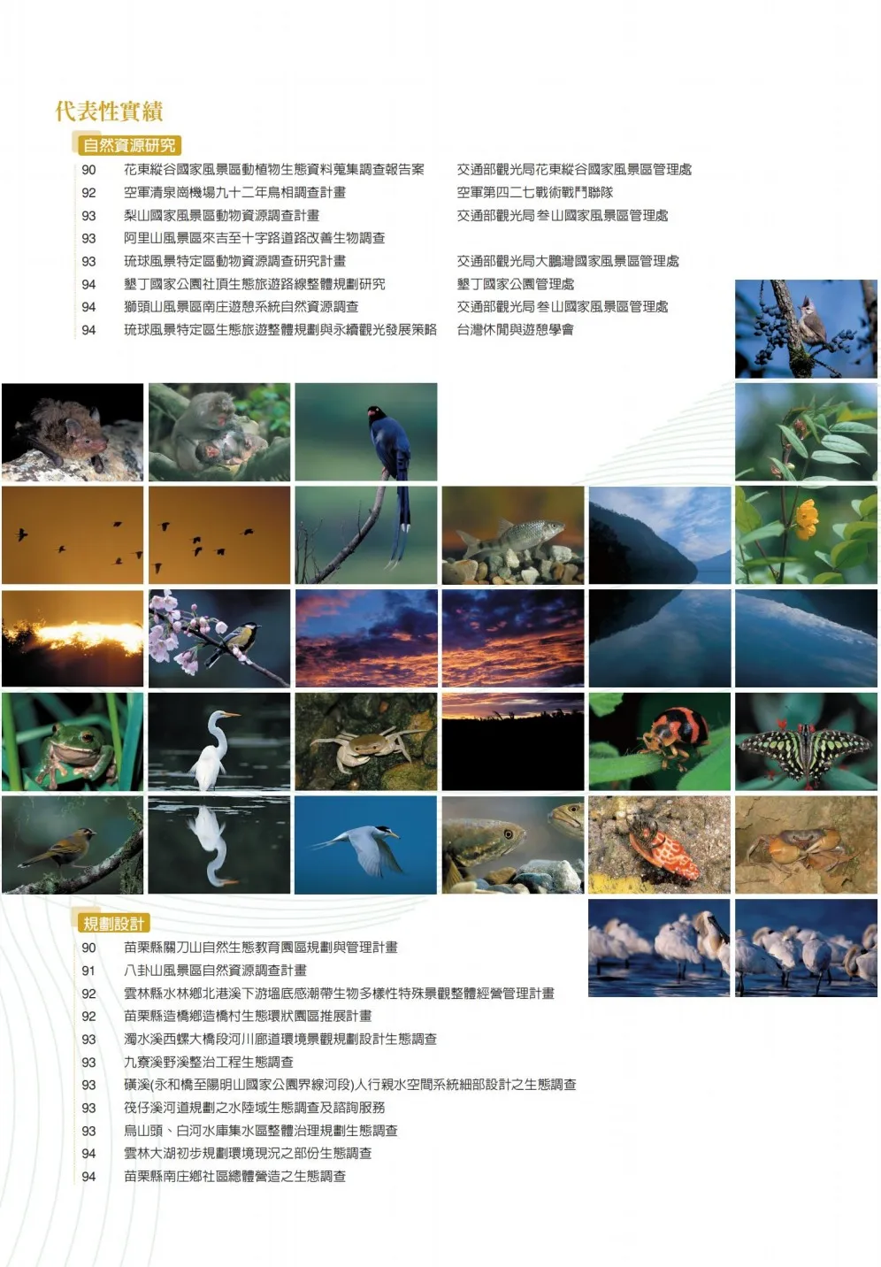 代表實績