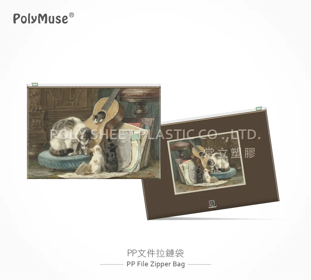 PP文件拉鏈袋